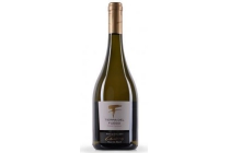 tierra del fuego gran reserva chardonnay