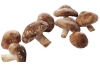 bio shiitake
