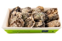 verse zeeuwse oesters met gratis oestermes