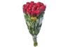 rozen 40 cm rood