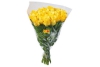 rozen 50 cm geel