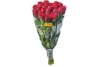 rozen 50 cm rood