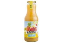 flevosap appel ananas perzik