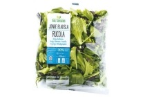 jonge bladsla rucola