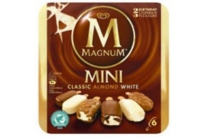 magnum mini assorti