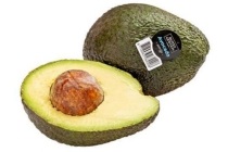 avocado xl