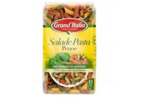 grand italia salade pasta penne