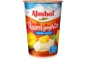 almhof roomyoghurt mumbai mango