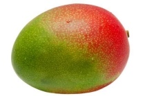 grote mango