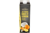 puur fruit met kokoswater