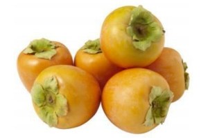 hoogvliet kaki