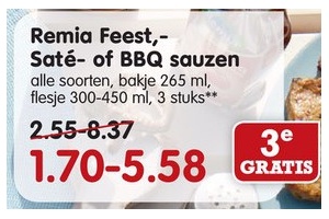 remia feest sat en eacute en bbq sauzen