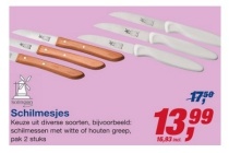 schilmesjes