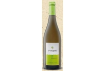somontano chardonnay
