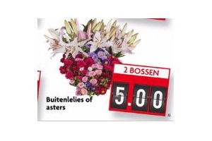 buitenlelies of asters