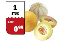 grote galia of cantaloupe meloen