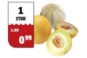 grote galia of cantaloupe meloen