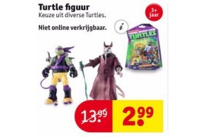 turtle figuur