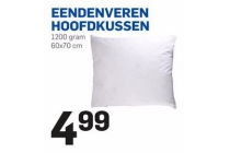 eendenveren hoofdkussen