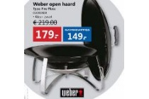 weber open haard