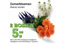 zomerbloemen