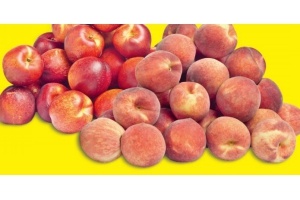 plus perziken of nectarines