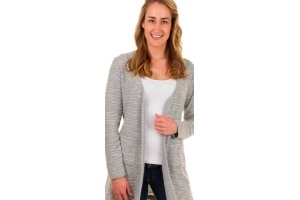 lang grijs damesvest