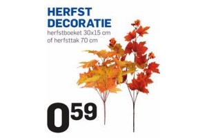 herfst decoratie