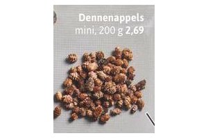 dennenappels mini