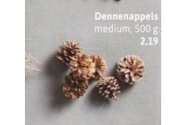 dennenappels medium