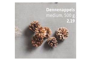 dennenappels medium