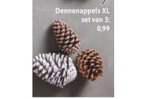 dennenappels xl