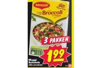 maggi schotels