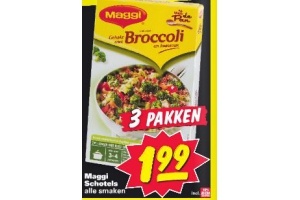 maggi schotels