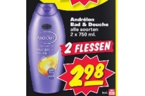 andr en eacute lon bad en amp douche