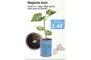 magische boon