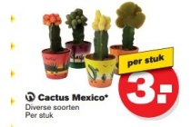 cactus mexico