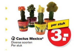 cactus mexico