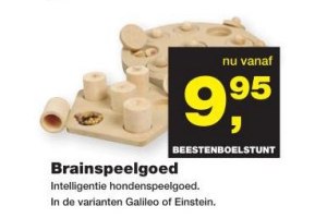 brainspeelgoed