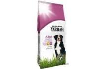 yarrah hond sensitive