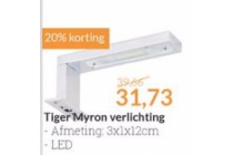 tiger myron verlichting