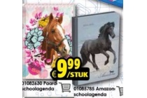 paarden schoolagenda