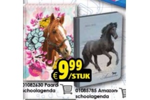 paarden schoolagenda