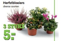 herstbloeiers