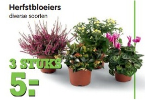 herstbloeiers