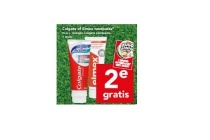 colgate of elmex tandpasta