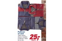 pullover of vest