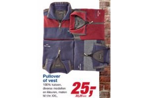 pullover of vest