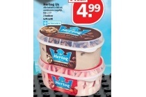 hertog ijs