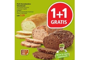 plus korenlanders vloerbrood